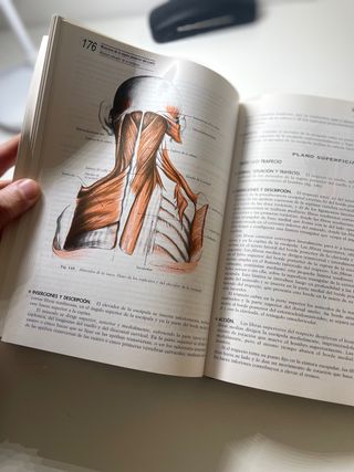 Anatomia Humana Rouviere