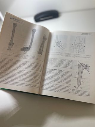 Anatomia Humana Rouviere