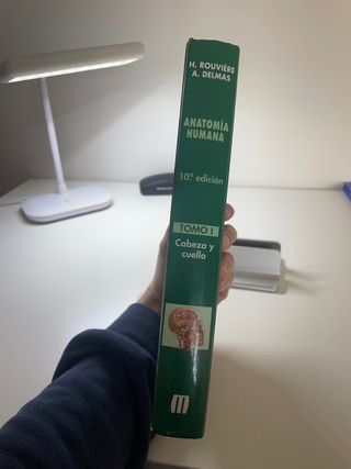 Anatomia Humana Rouviere