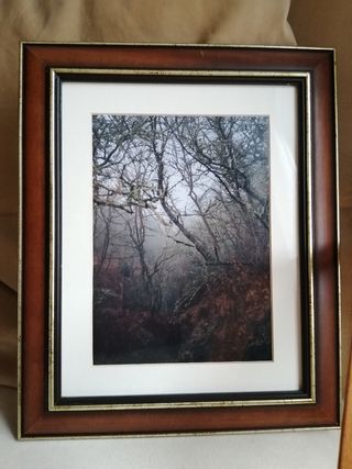 3 quadri fotografici