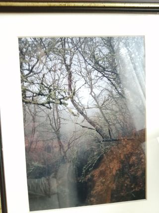 3 quadri fotografici