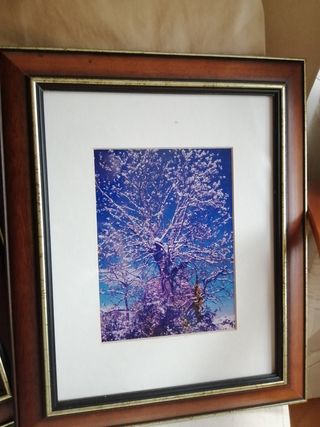 3 quadri fotografici