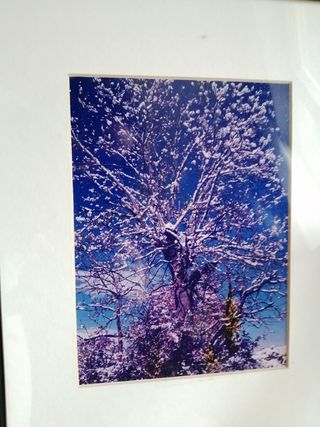 3 quadri fotografici