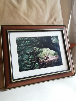 3 quadri fotografici