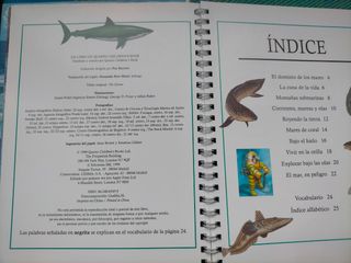 LIBRO POP-UP LOS OCÉANOS