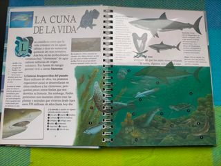 LIBRO POP-UP LOS OCÉANOS