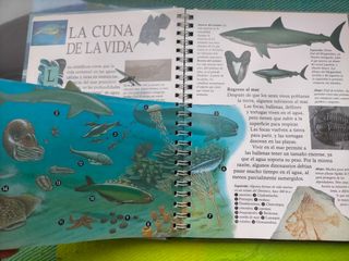 LIBRO POP-UP LOS OCÉANOS