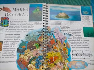 LIBRO POP-UP LOS OCÉANOS