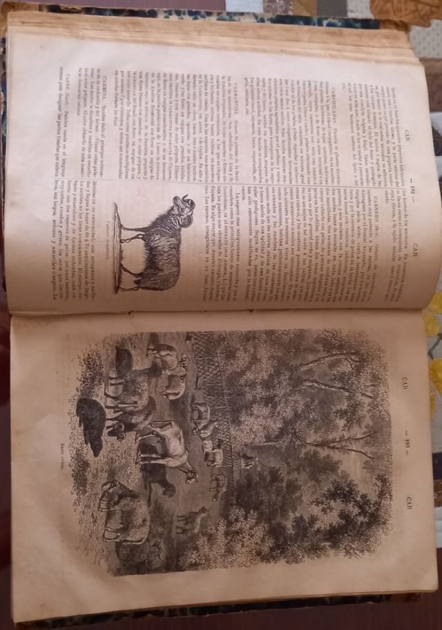 Diccionario popular de historia natural