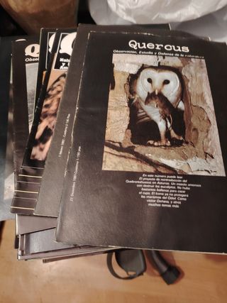 Quercus revistas