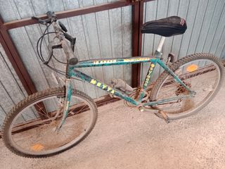 bicicleta 