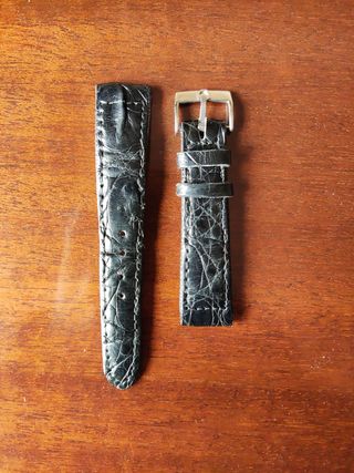 Correa cocodrilo con hebilla Omega