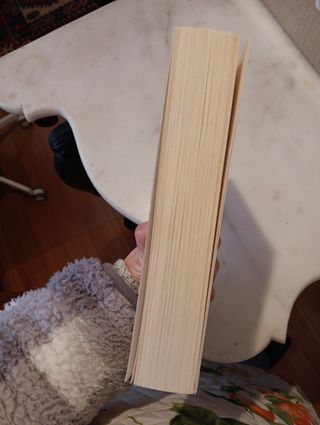 Novela de Sánchez Ferlosio