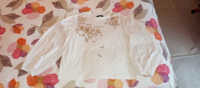 Maglietta nuova Terranova