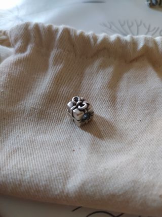 Charm Pandora