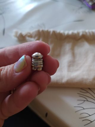 Charm Pandora