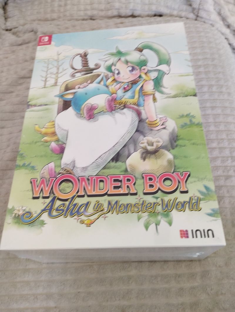 Imagen de Wonder Boy Asha en Monster World Nintendo Switch