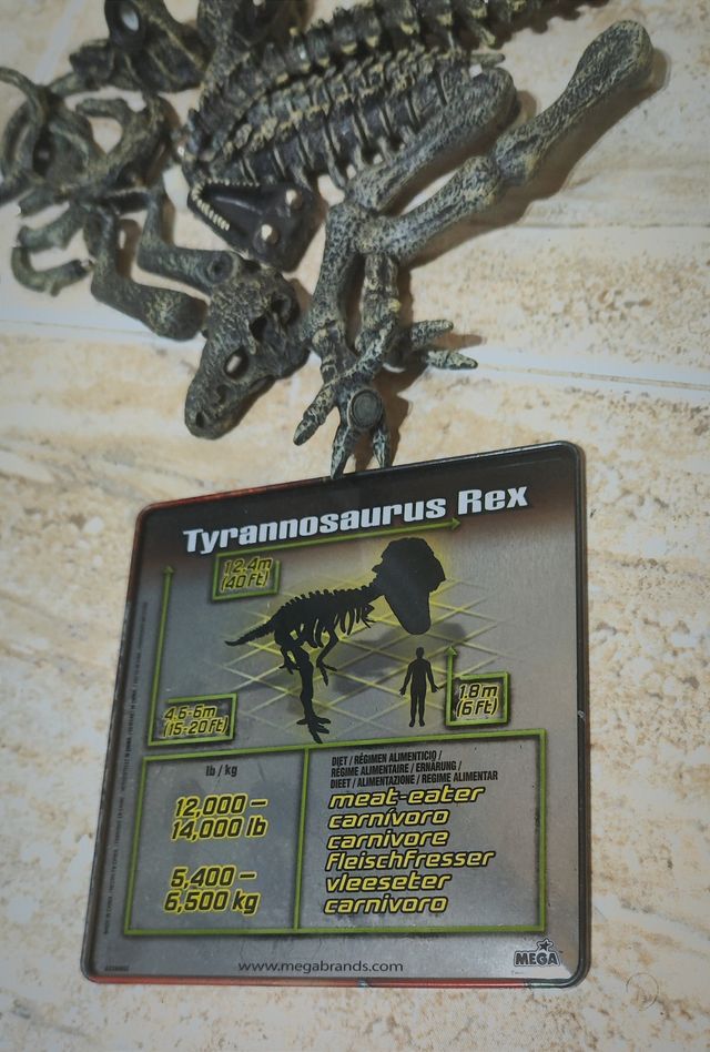 MAGNA BONES esqueleto Tiranosaurio REX
