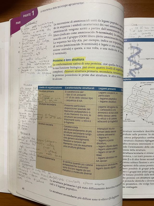 L’industria agroalimentare