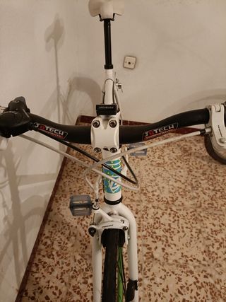 Bicicleta fixie
