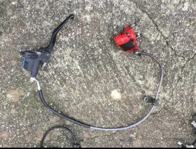 Pinze anteriori  complete ph