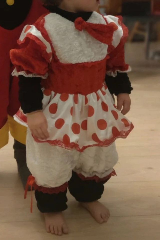 Costume carnevale Minnie