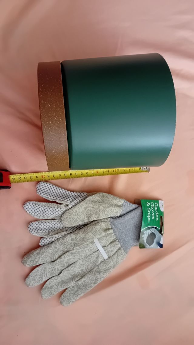 Maceta y guante