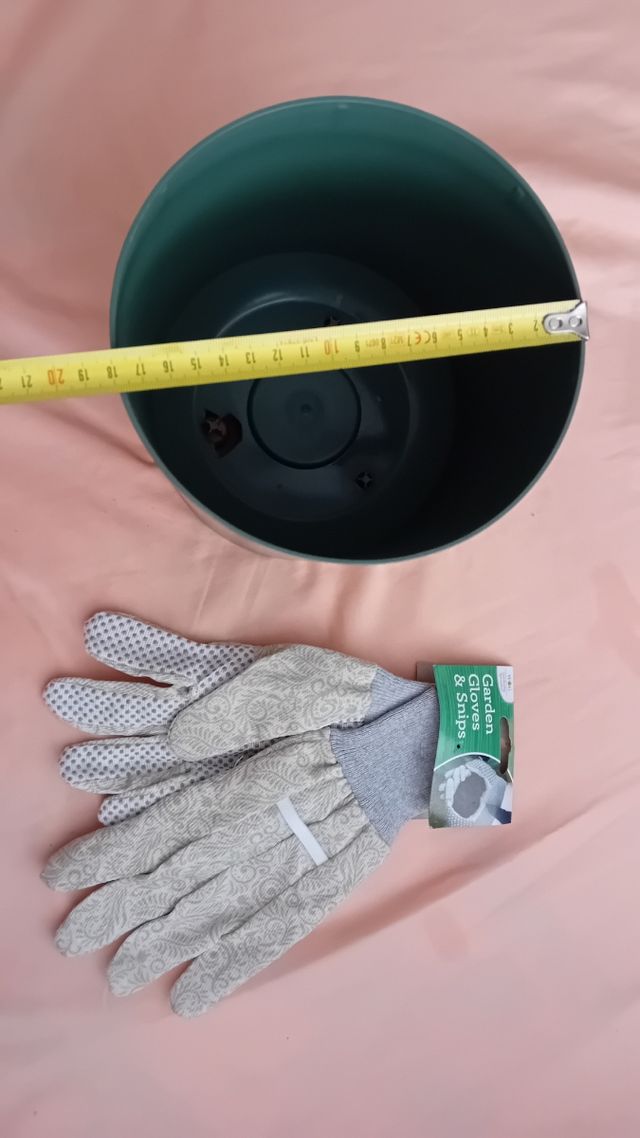 Maceta y guante