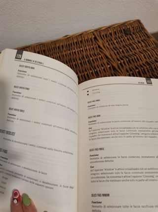 Il manuale di 3D Studio 3