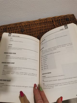 Il manuale di 3D Studio 3