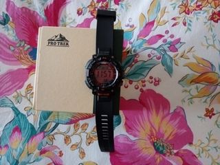 Casio pro Trek 