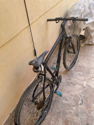 Bicicleta de montaña Orbeat
