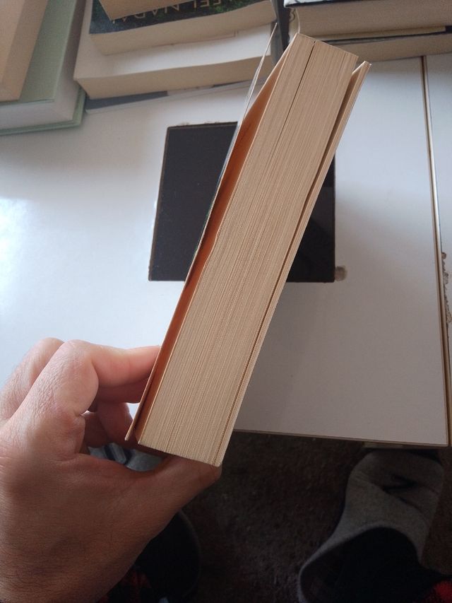 Más allá del Jardin