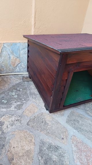 caseta de perro