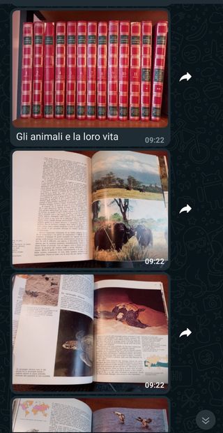 Enciclopedia animali