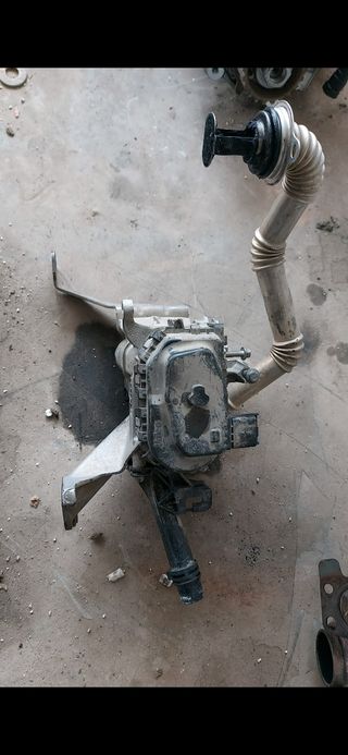 EGR Citroën Peugeot 