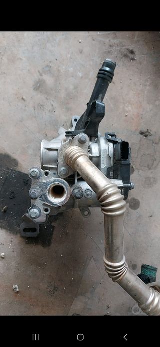 EGR Citroën Peugeot 