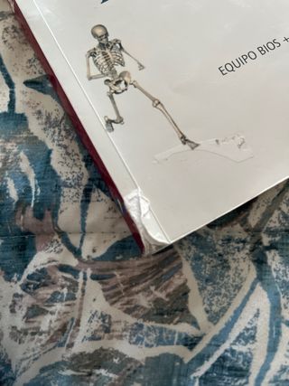 Anatomia Aplicada