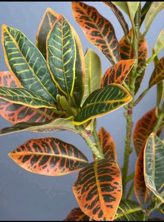 Juego de 3 plantas artificiales