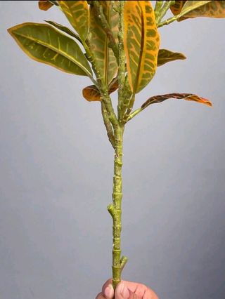 Juego de 3 plantas artificiales