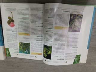 Enciclopedia medicina natural 