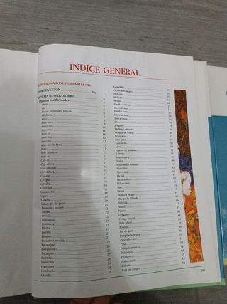 Enciclopedia medicina natural 