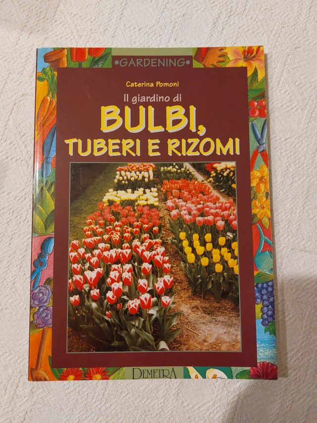 Bulbi, tuberi e rizomi