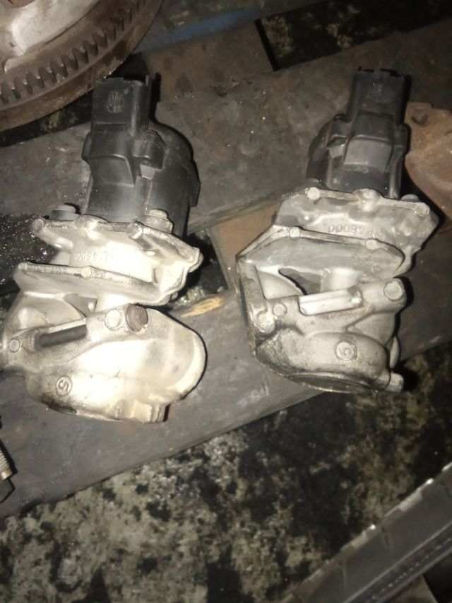 válvula egr Citroen Peugeot psa
