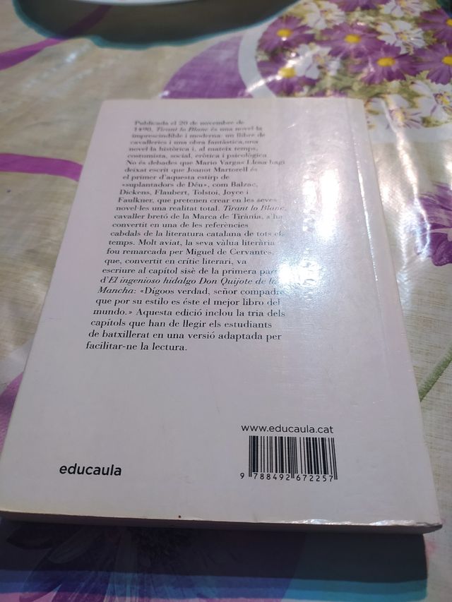 Tirant lo Blanc -text adaptat