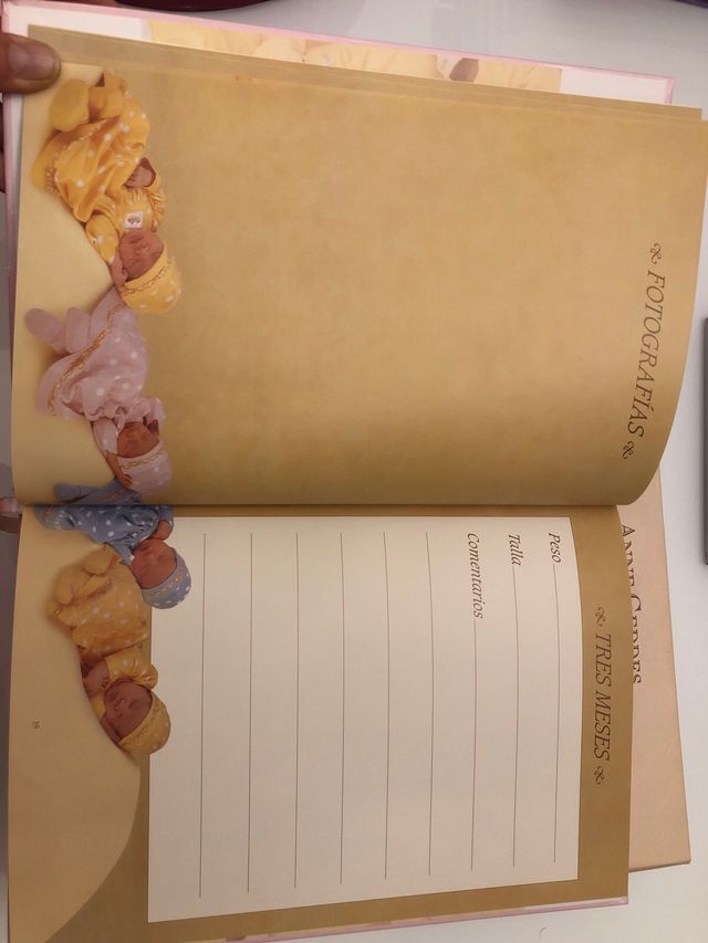 Album bebey Diario de Anne Guedes