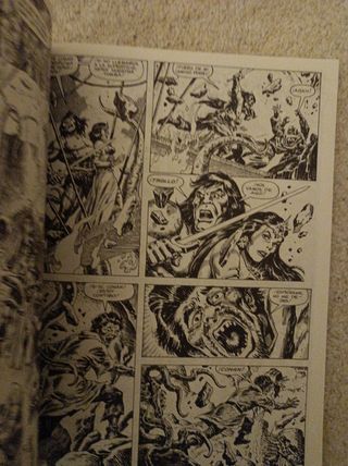 La espada salvaje de Conan. Tomo 20