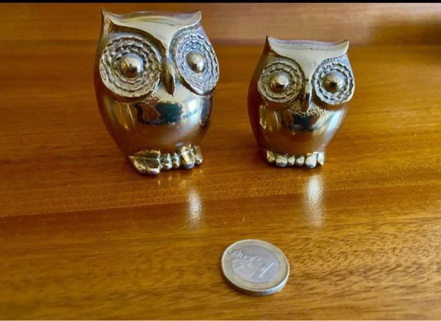 Gato, cisne y búhos dorados