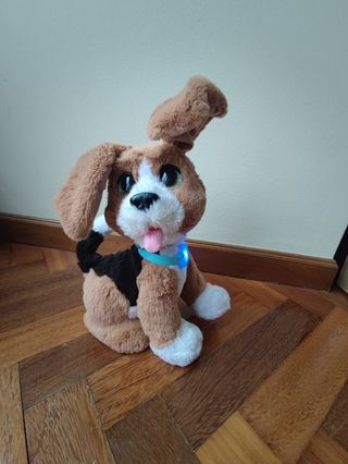 Charlie mi perrito parlanchin