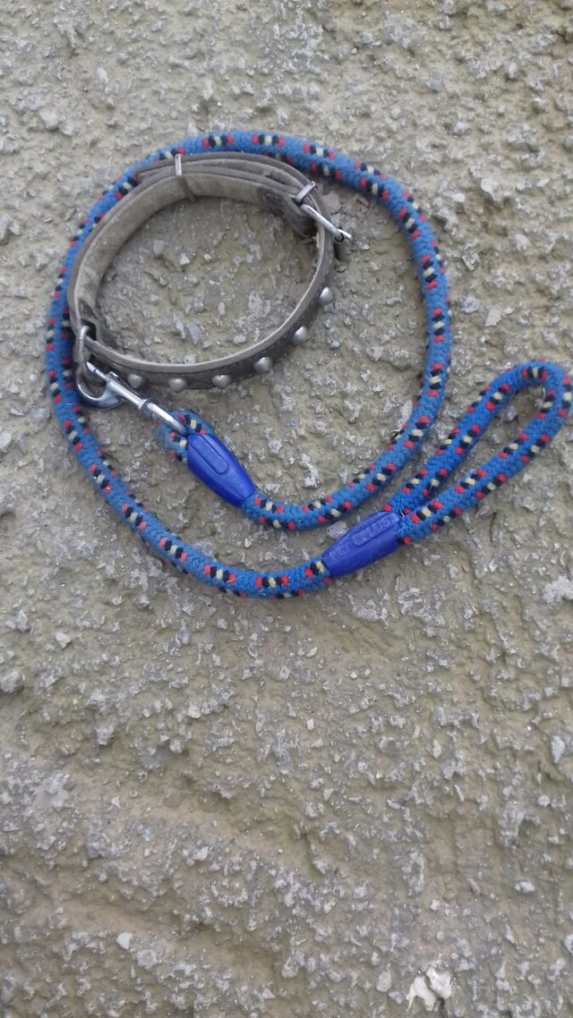 collar de perro grande de piel